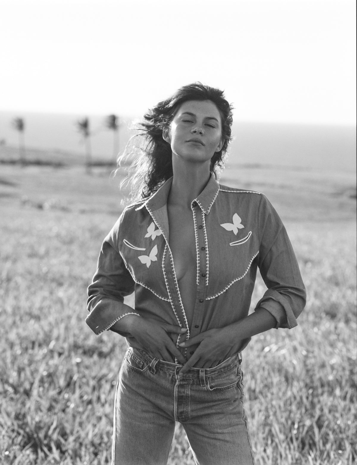 Folk Art Western shirt