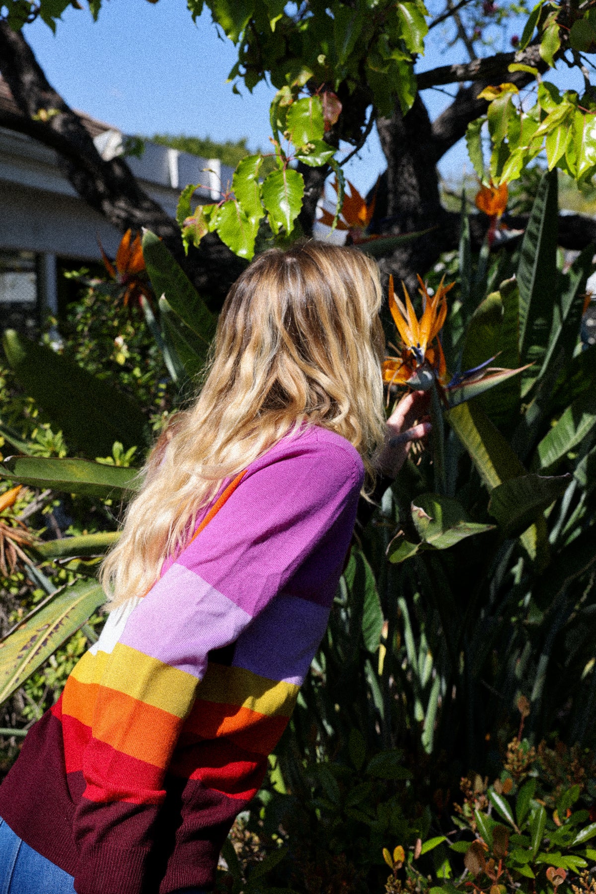 california dreamin cardigan in sunset