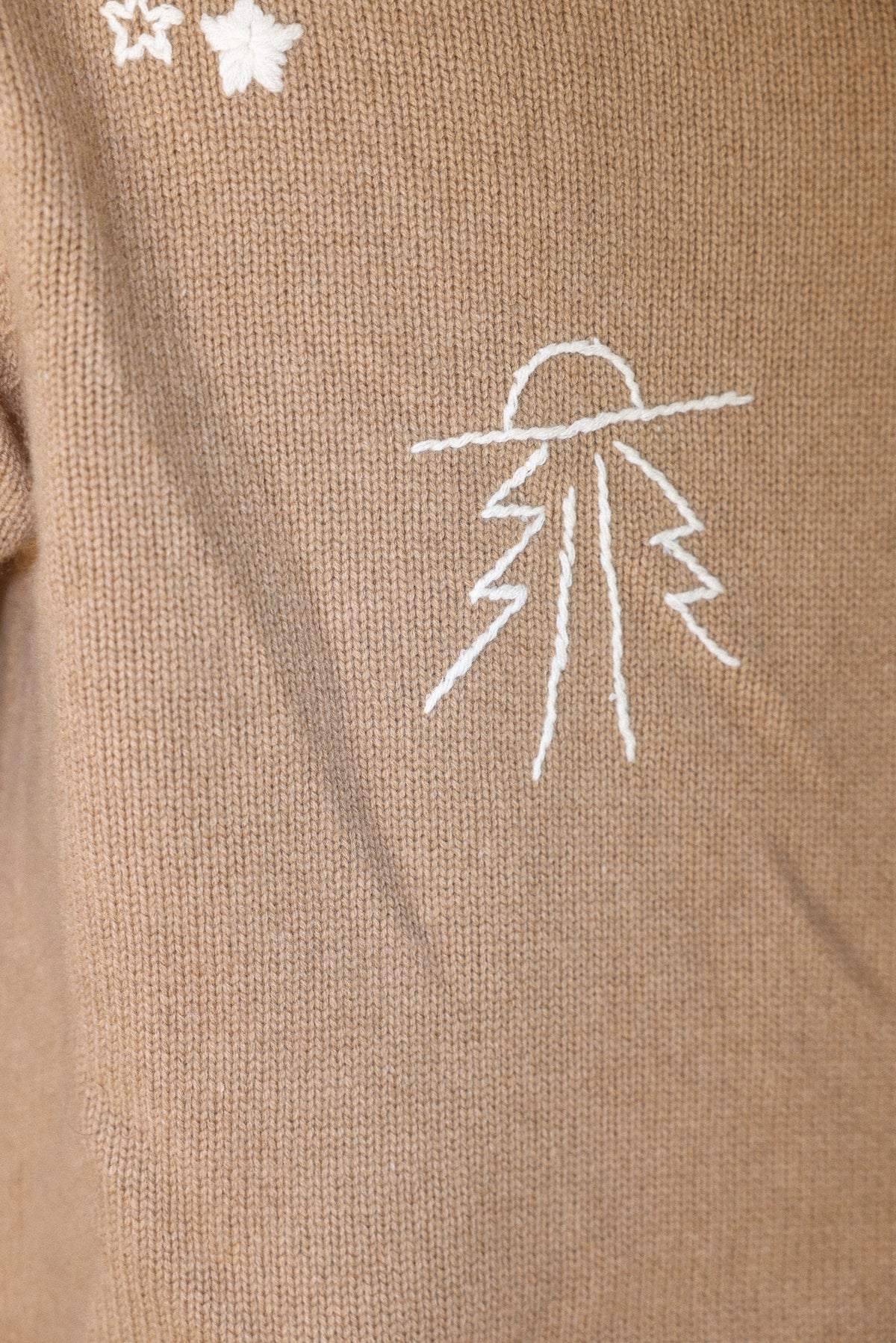 Cosmic Cashmere sweater in camel No2