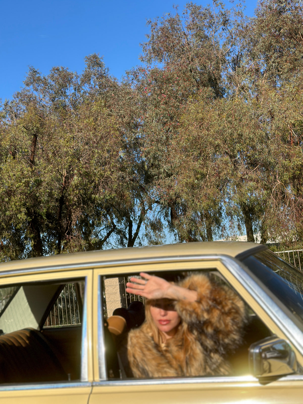 The Morrison Coat FINAL SALE