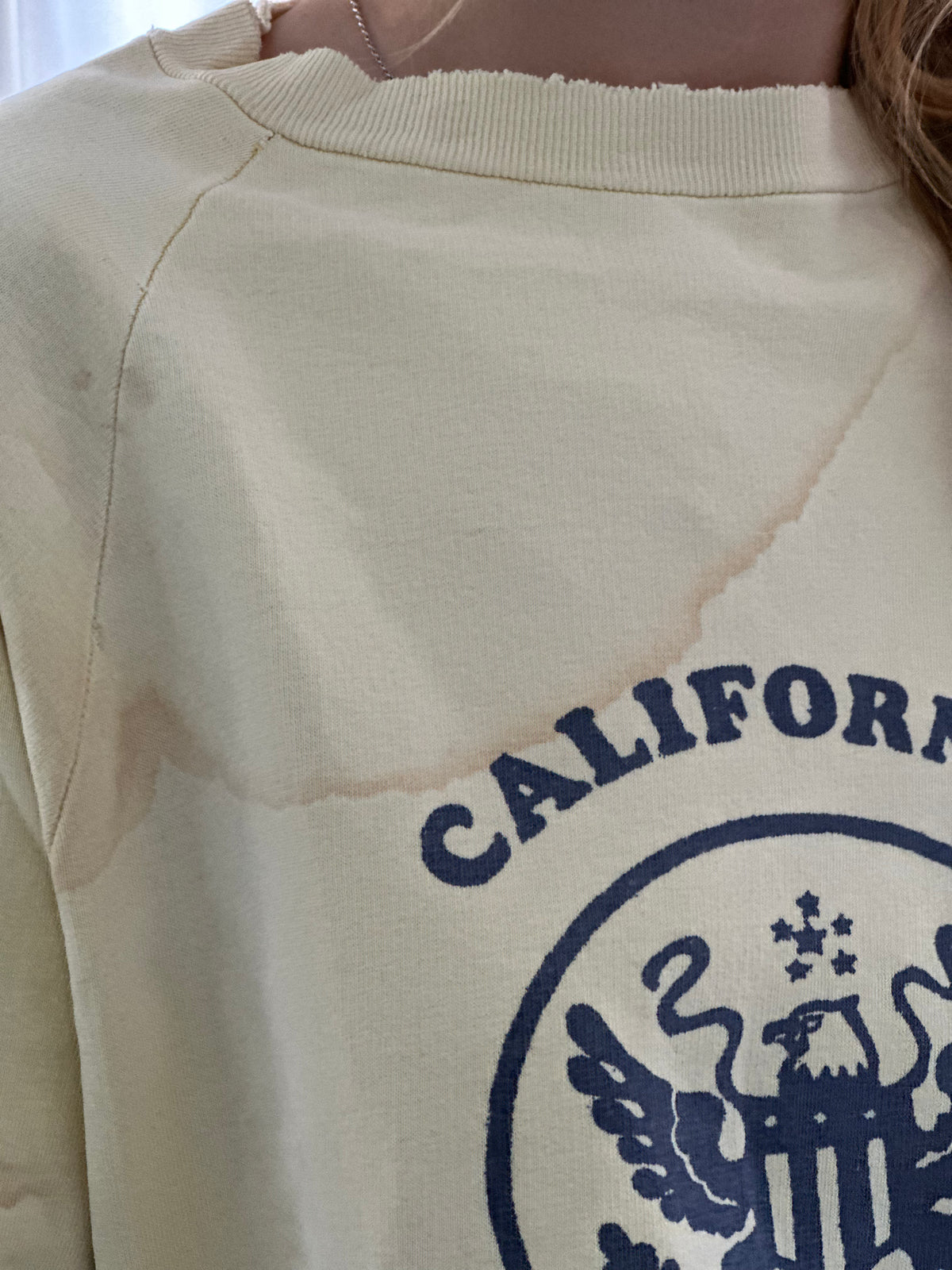 Vintage Sweatshirt №1