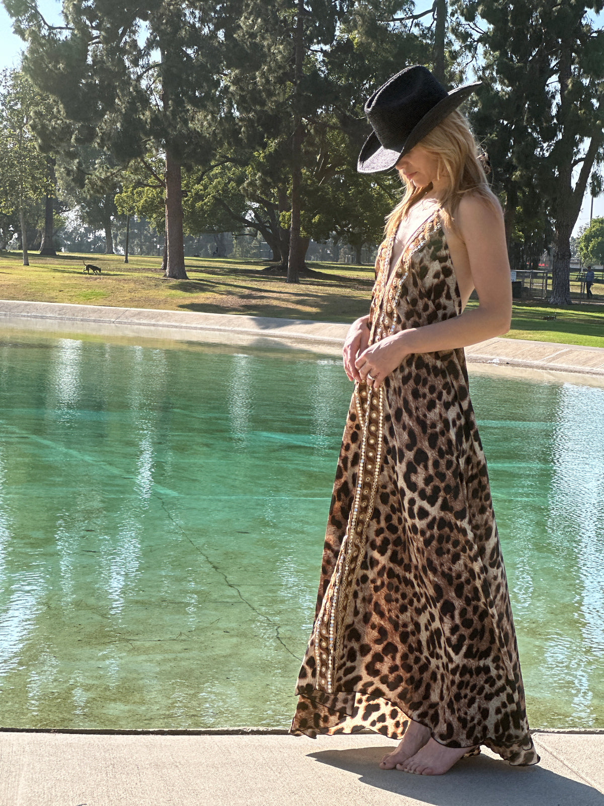 Take a Walk on the Wild Side dress