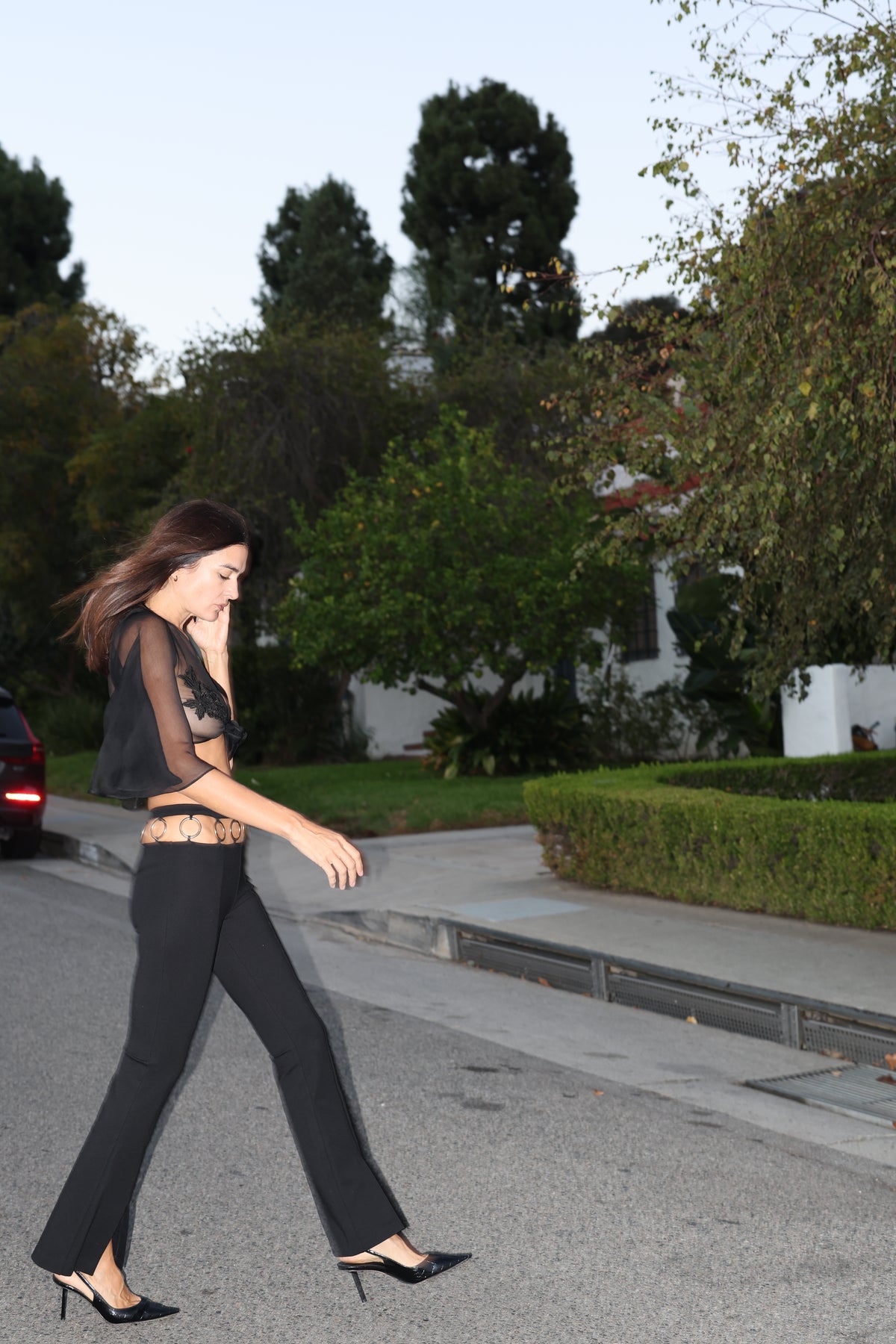 Rebel Rebel pant