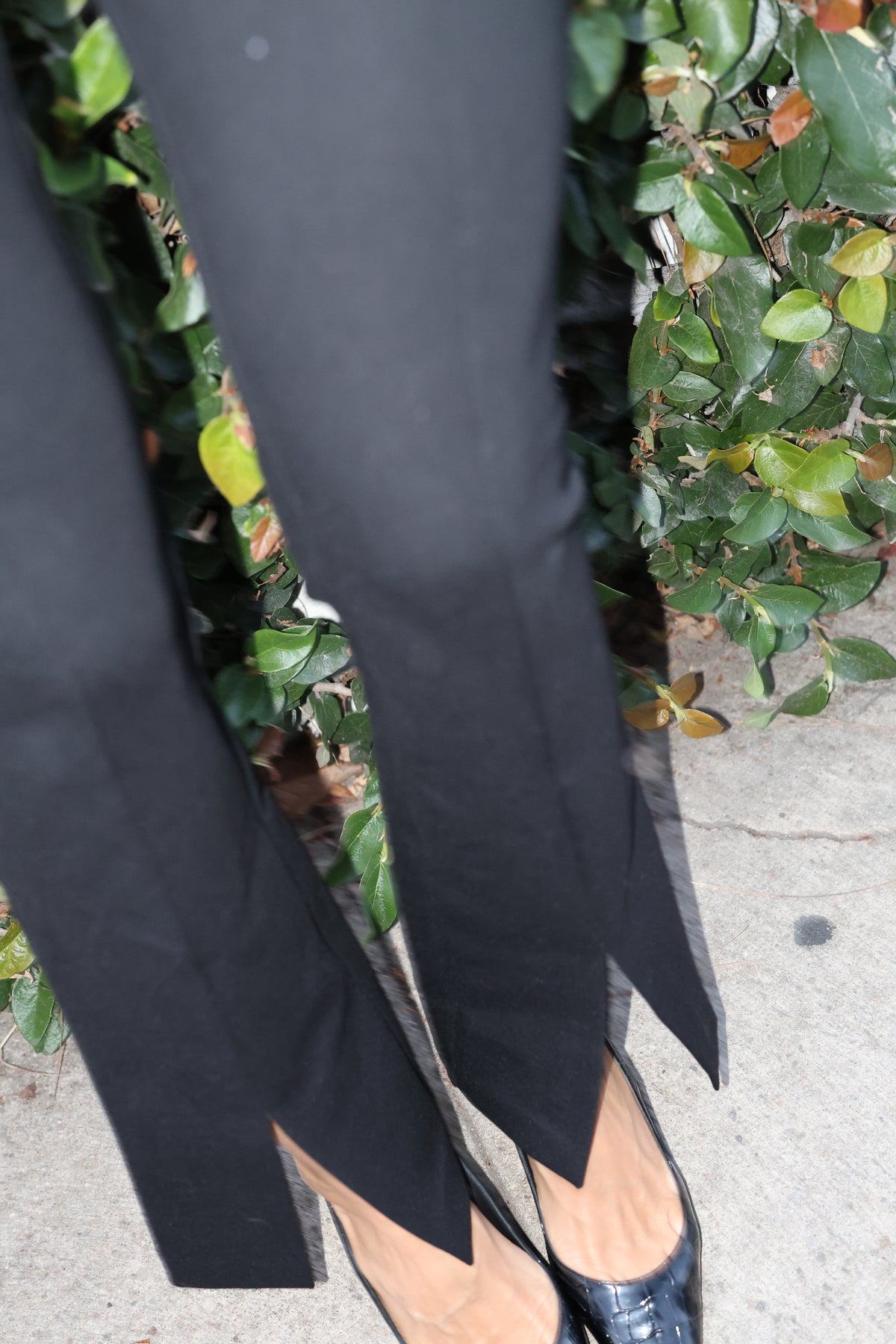 Rebel Rebel pant
