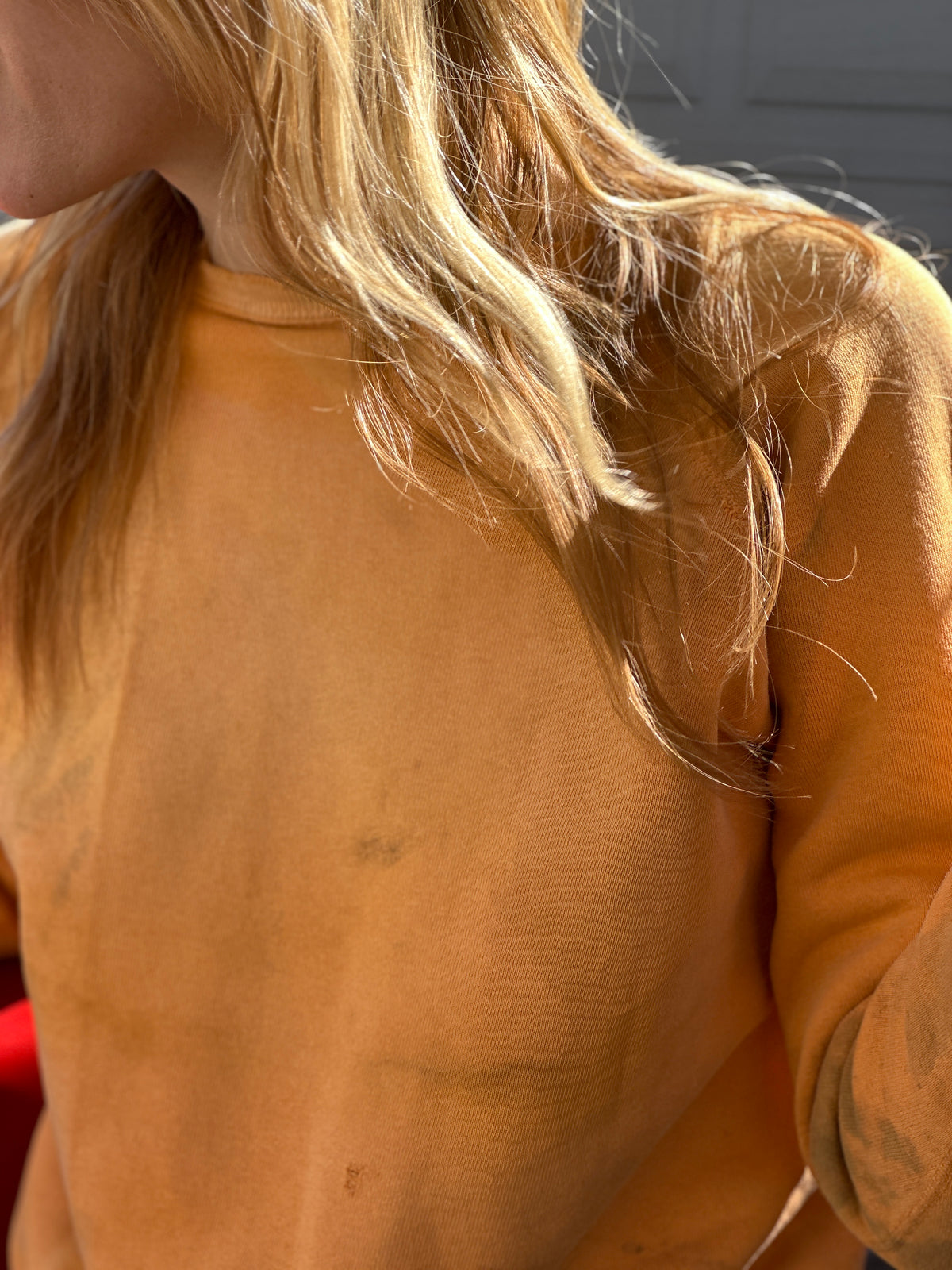 Vintage Sweatshirt №173