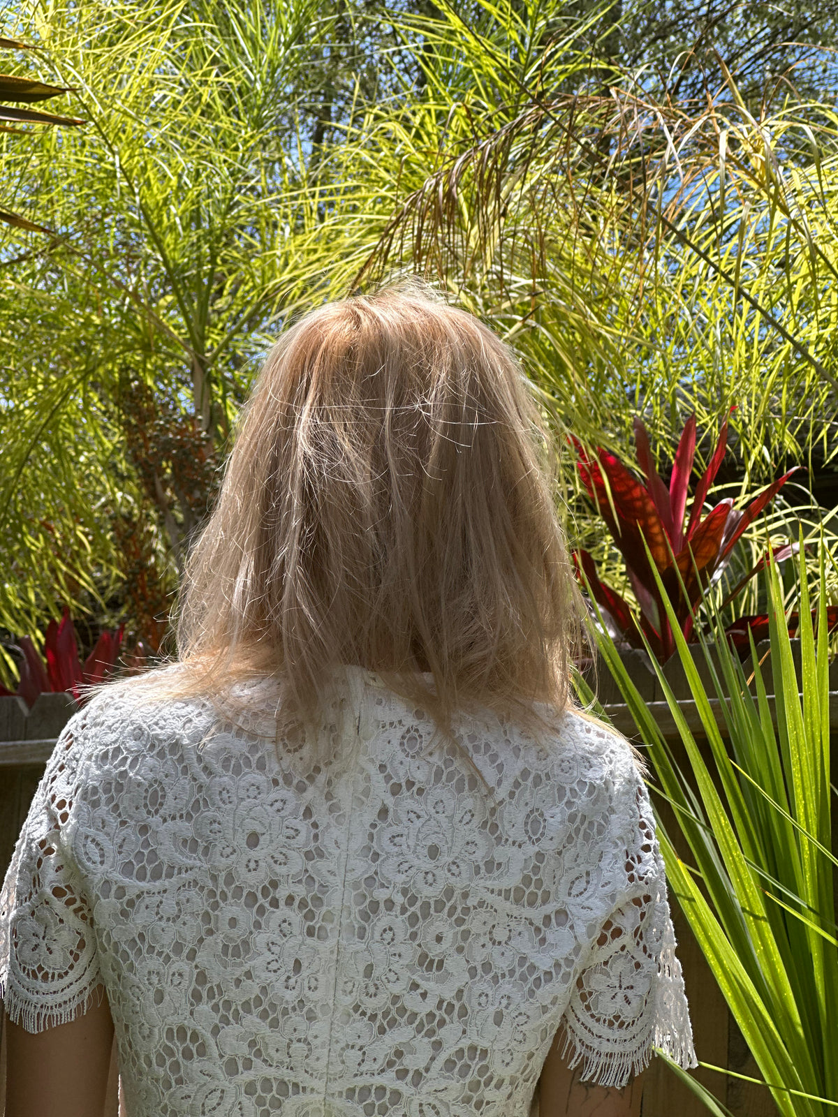 Songbird Lace top