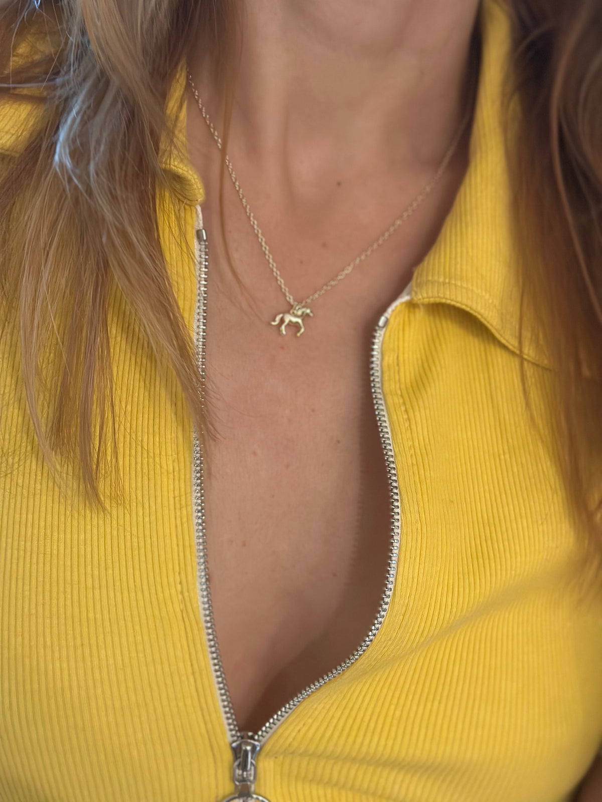 golden pony necklace