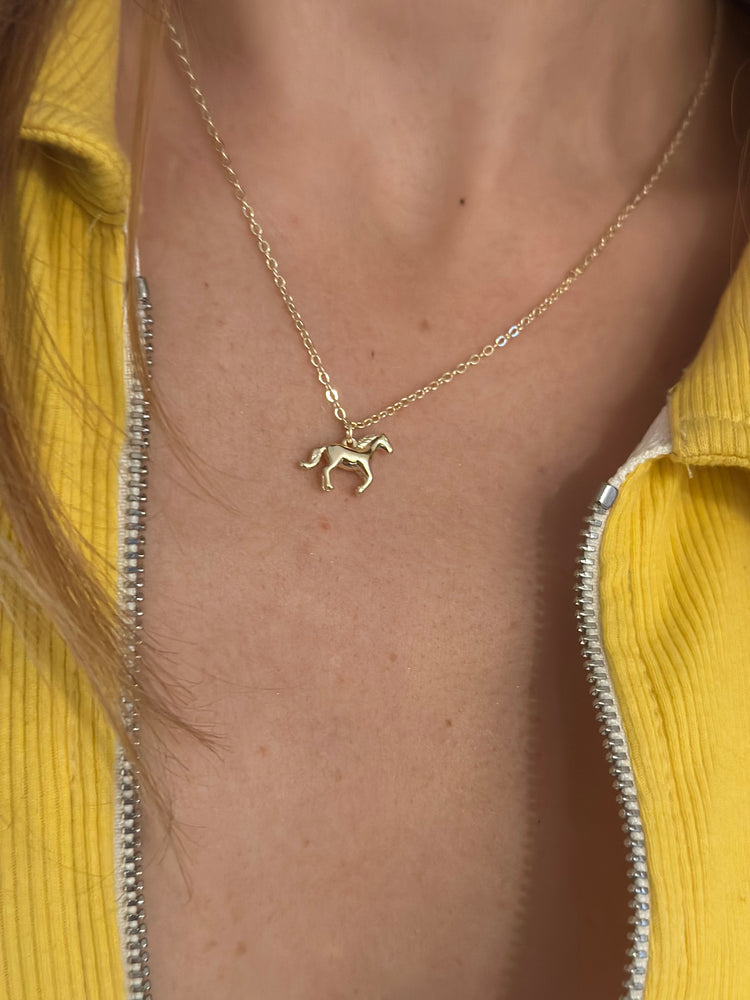 
                  
                    golden pony necklace
                  
                