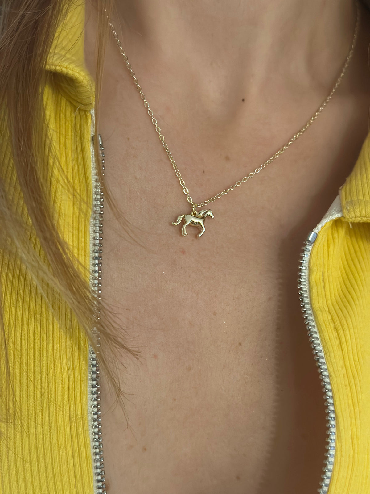 golden pony necklace