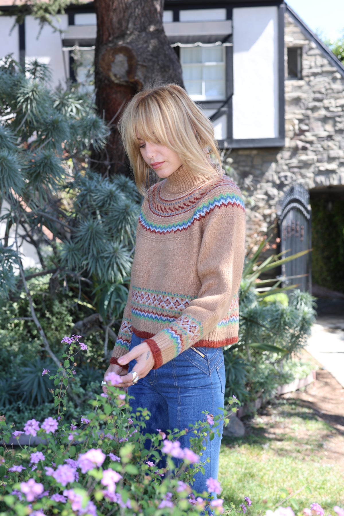 Sundance in brown