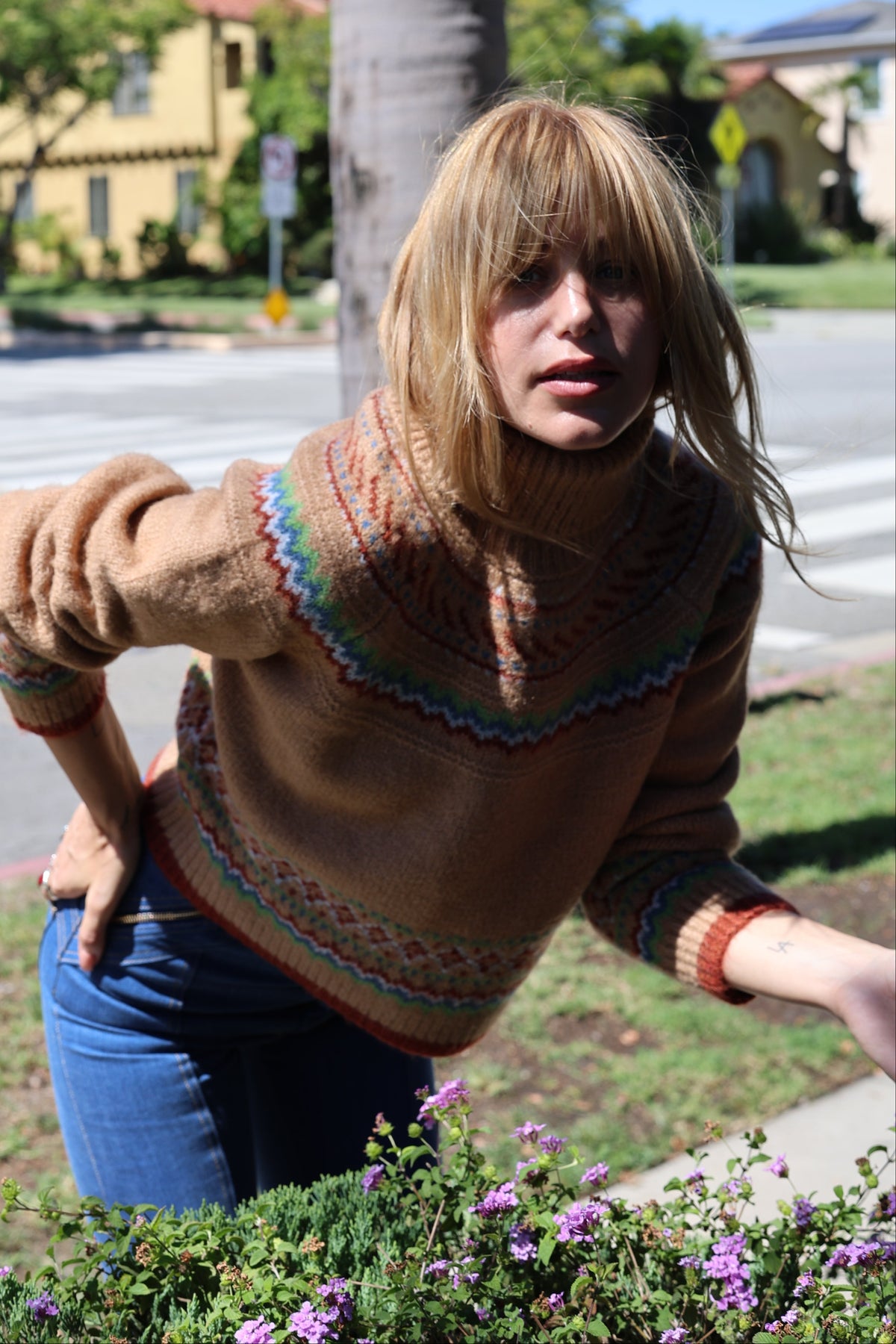 Sundance in brown