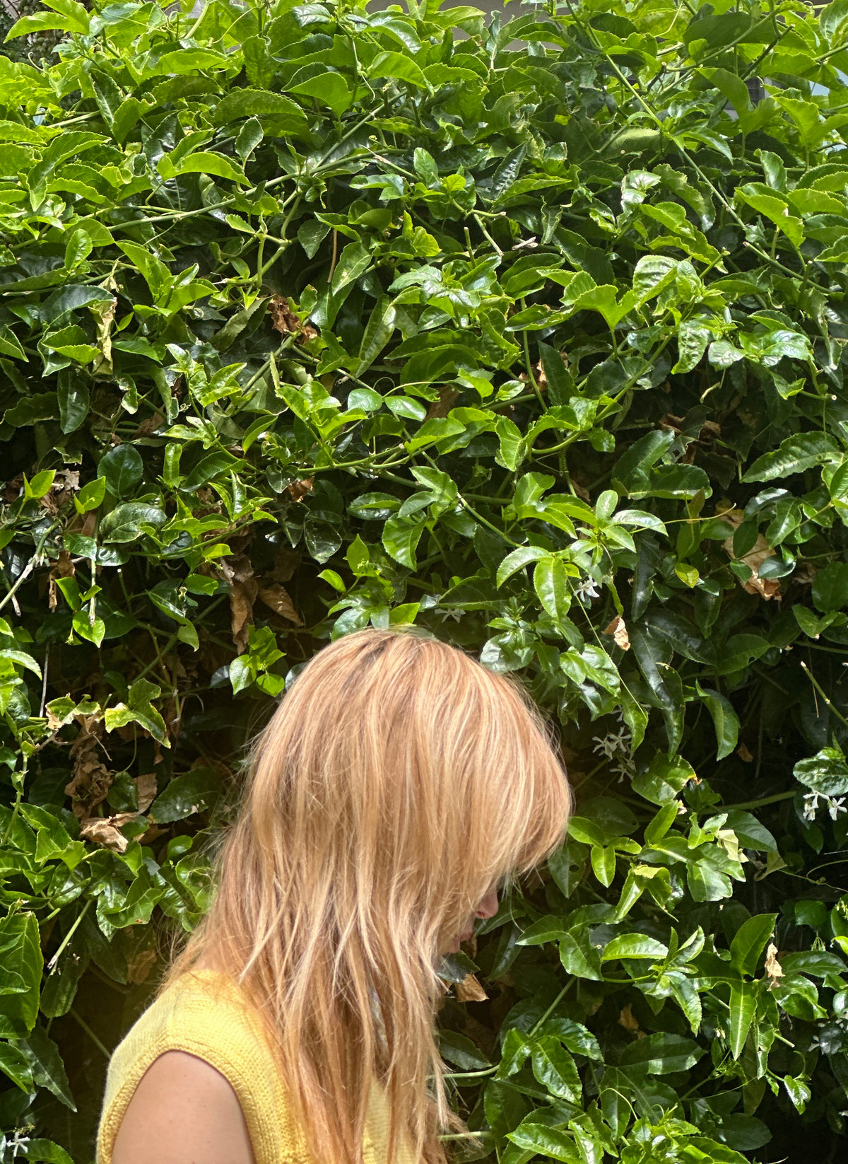 Vintage Sweater №226