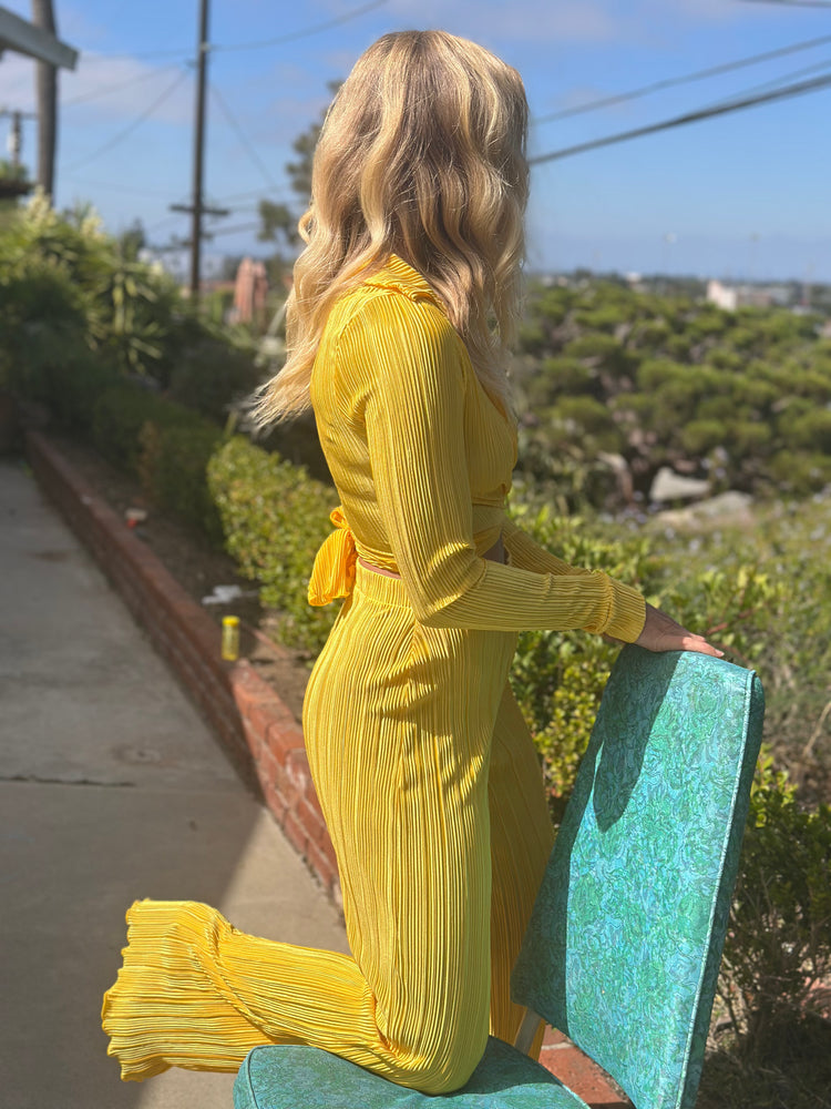 
                  
                    Fox on the Run Set in sunshine
                  
                