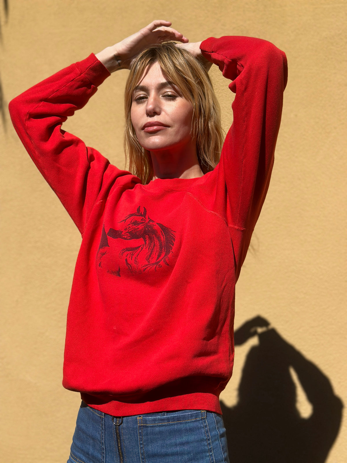 Vintage Sweatshirt №168