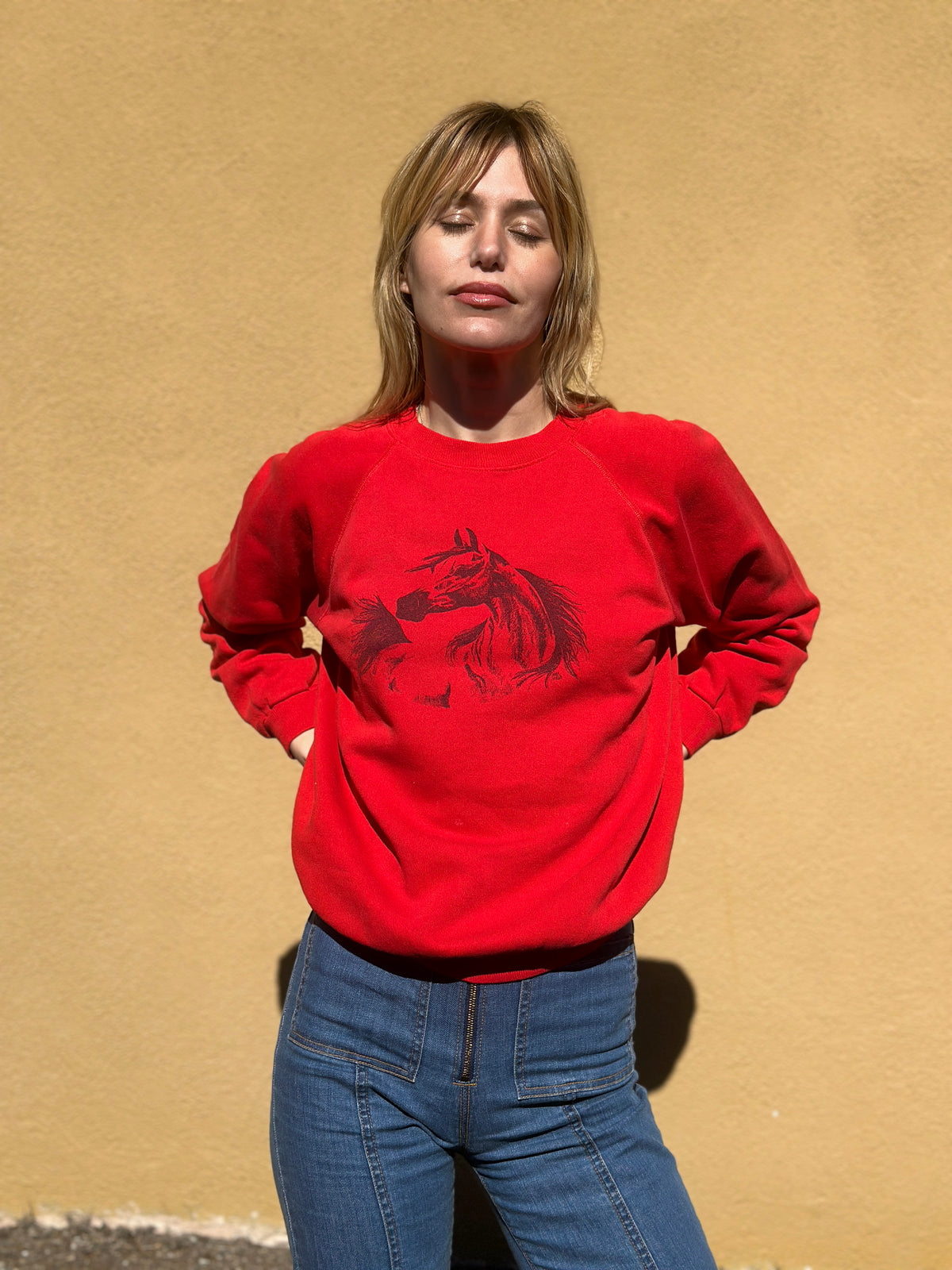Vintage Sweatshirt №168