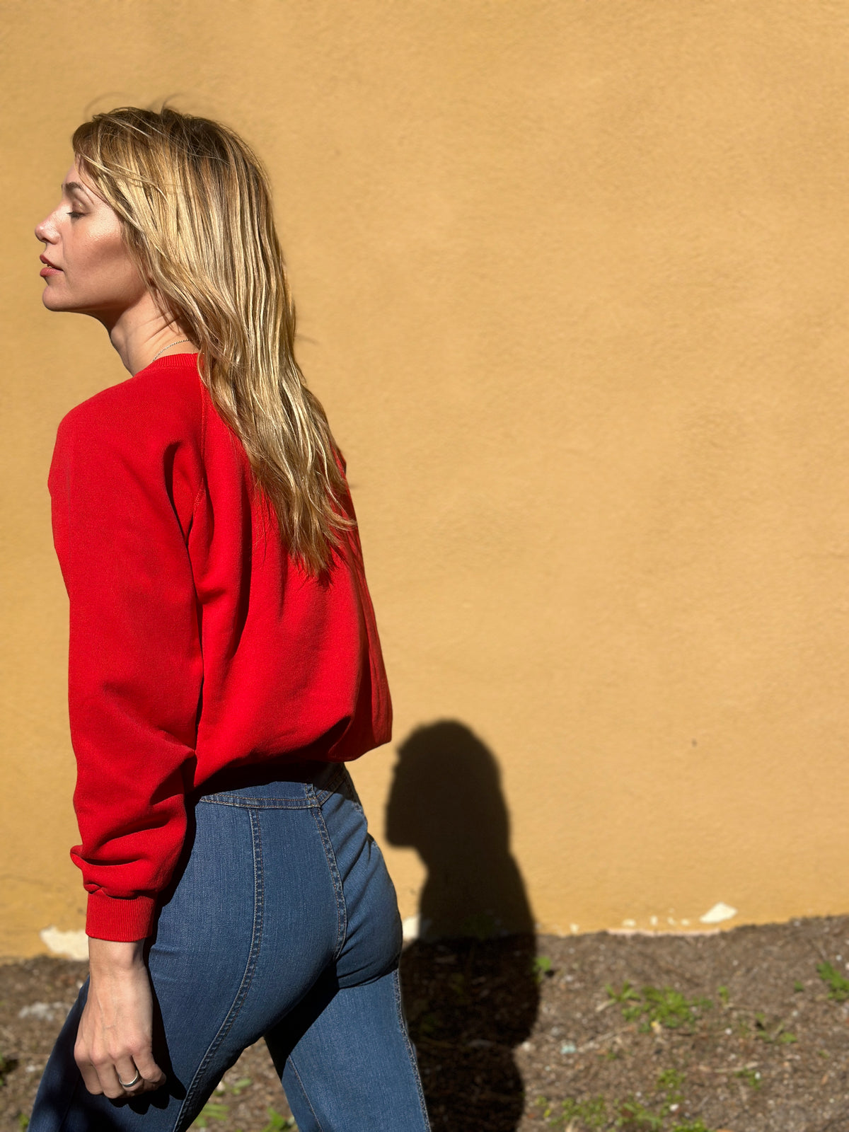 Vintage Sweatshirt №168