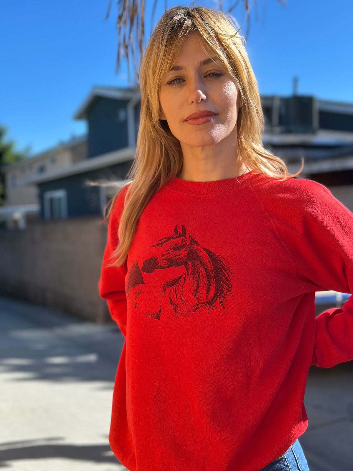 Vintage Sweatshirt №168