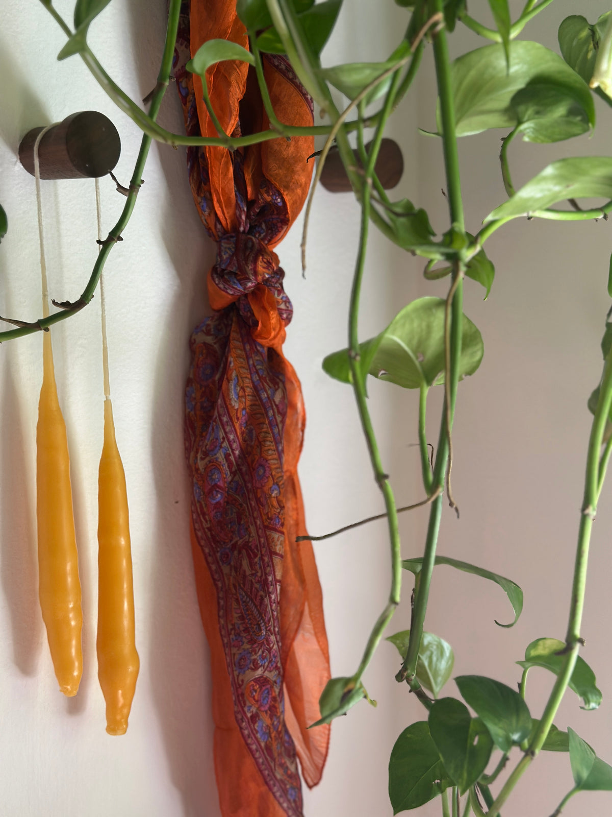 Case Study Scarf №1