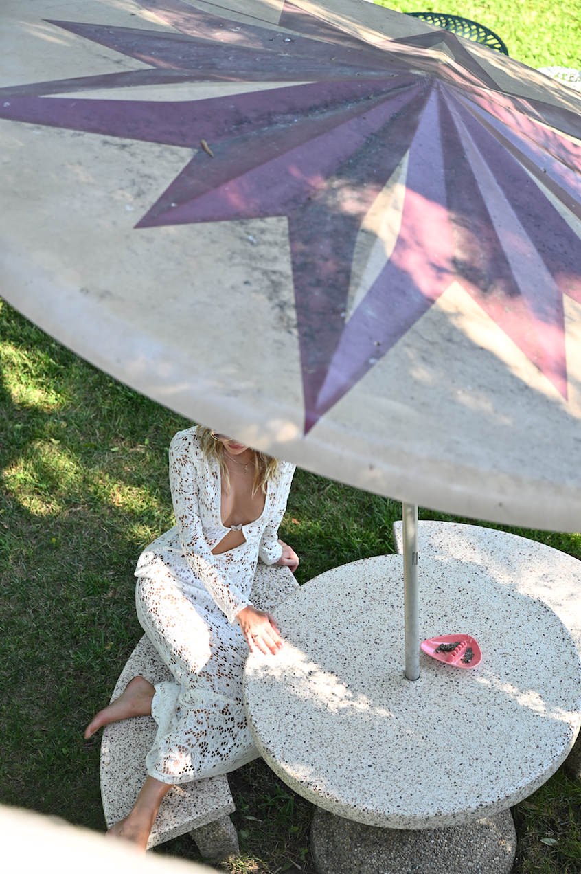 Songbird lace dress