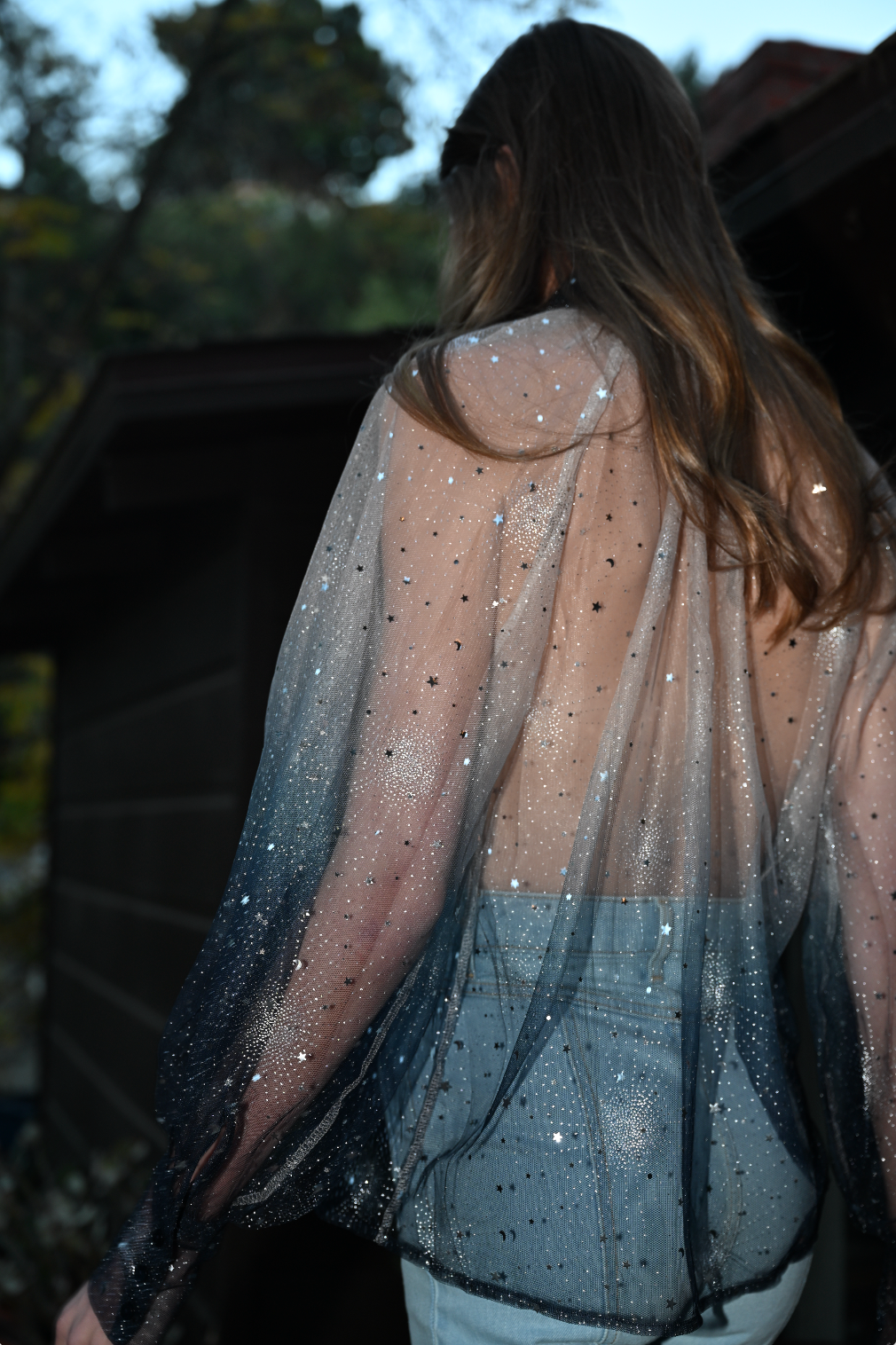 The Crystal Ship Top