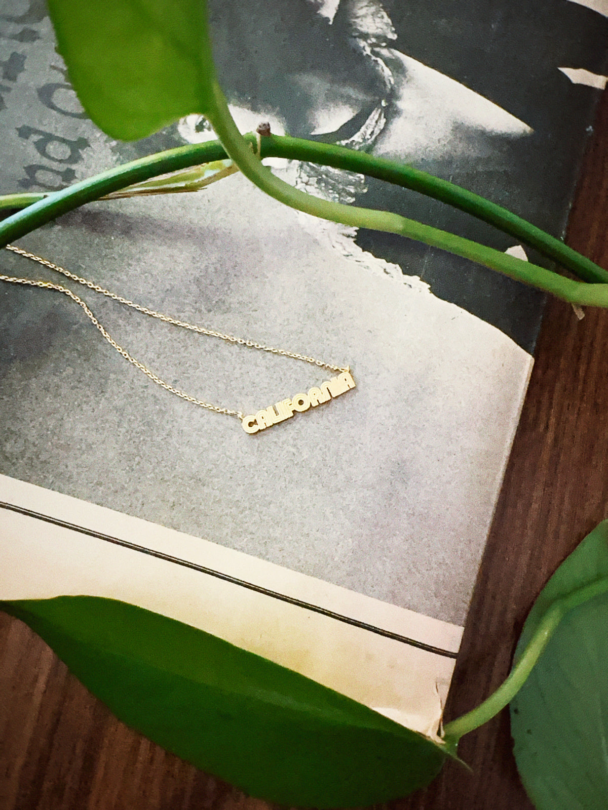 California Gold necklace...NEW