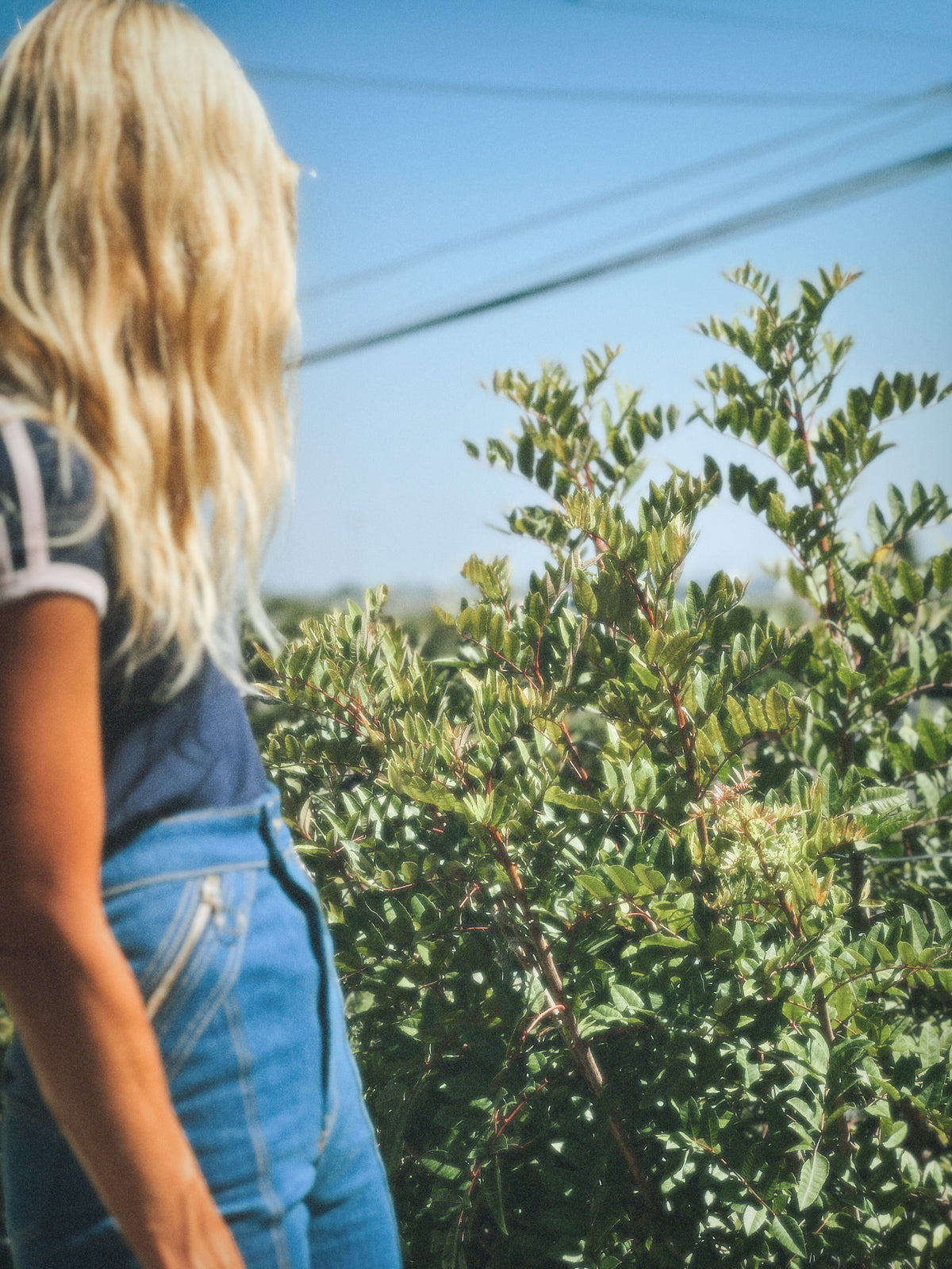 Malibu tee in navy/blush