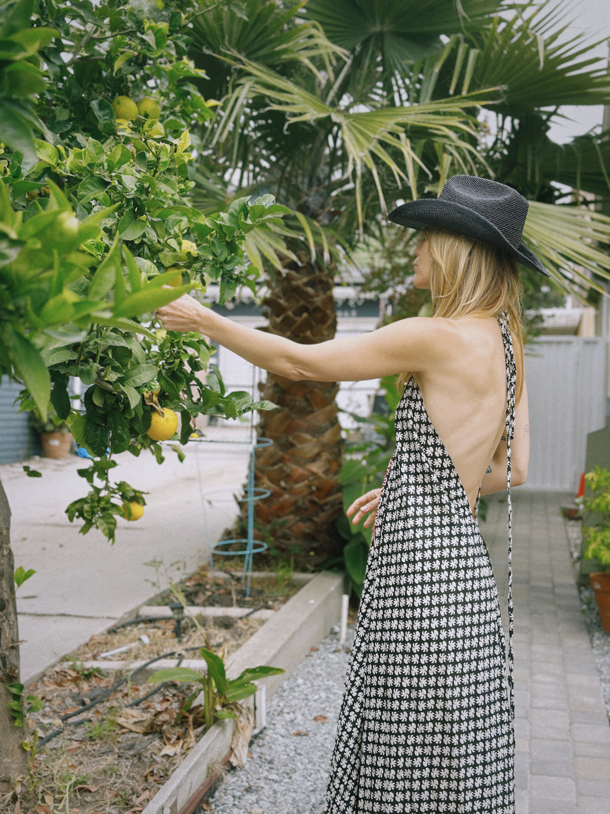 Festival Express II dress